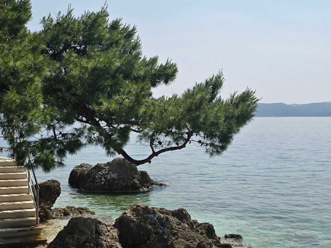 Punta Rata Beach-布雷拉必去景点
