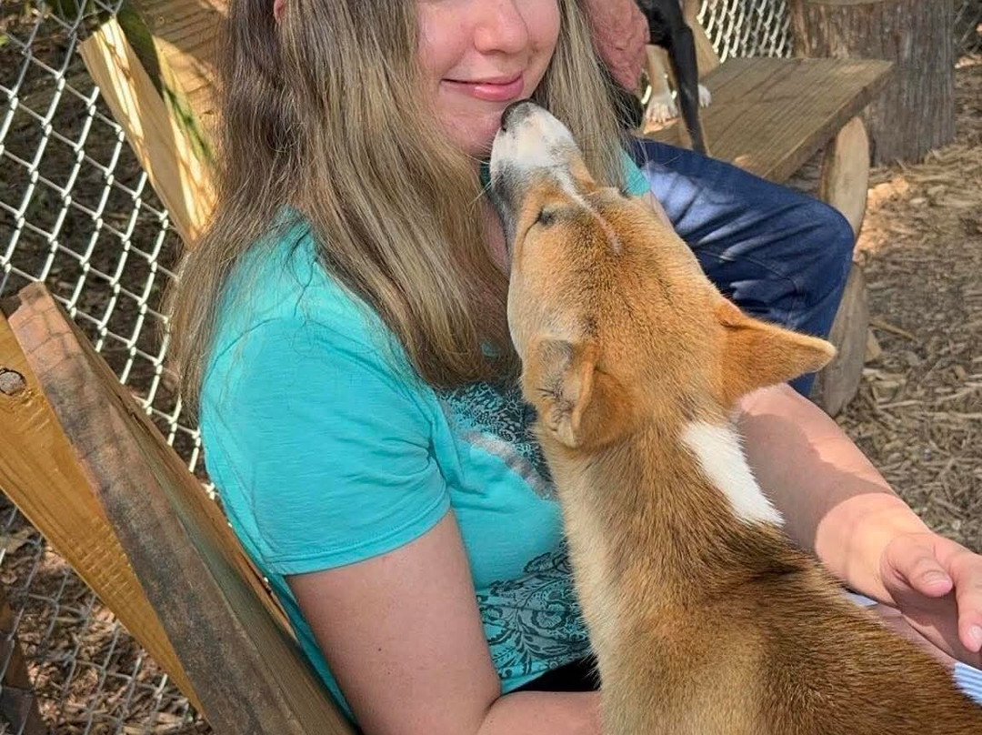 Wild Animal Adventure-斯坦顿必去景点