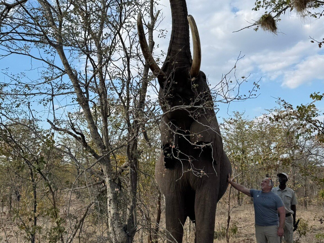 Wild Horizons Elephant Sanctuary景点图片