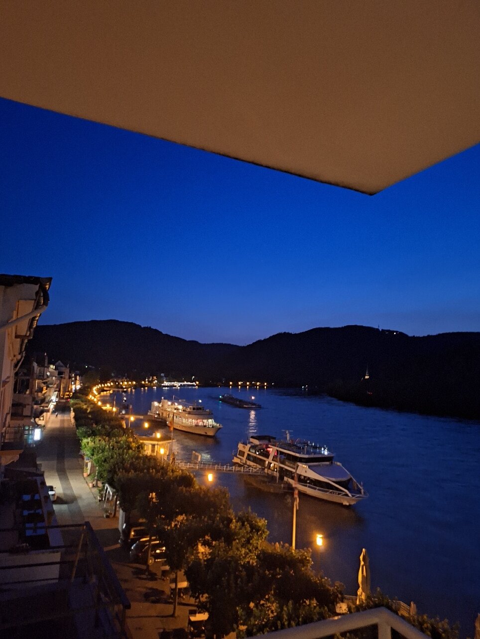 Rheinhotel Lilie-官方