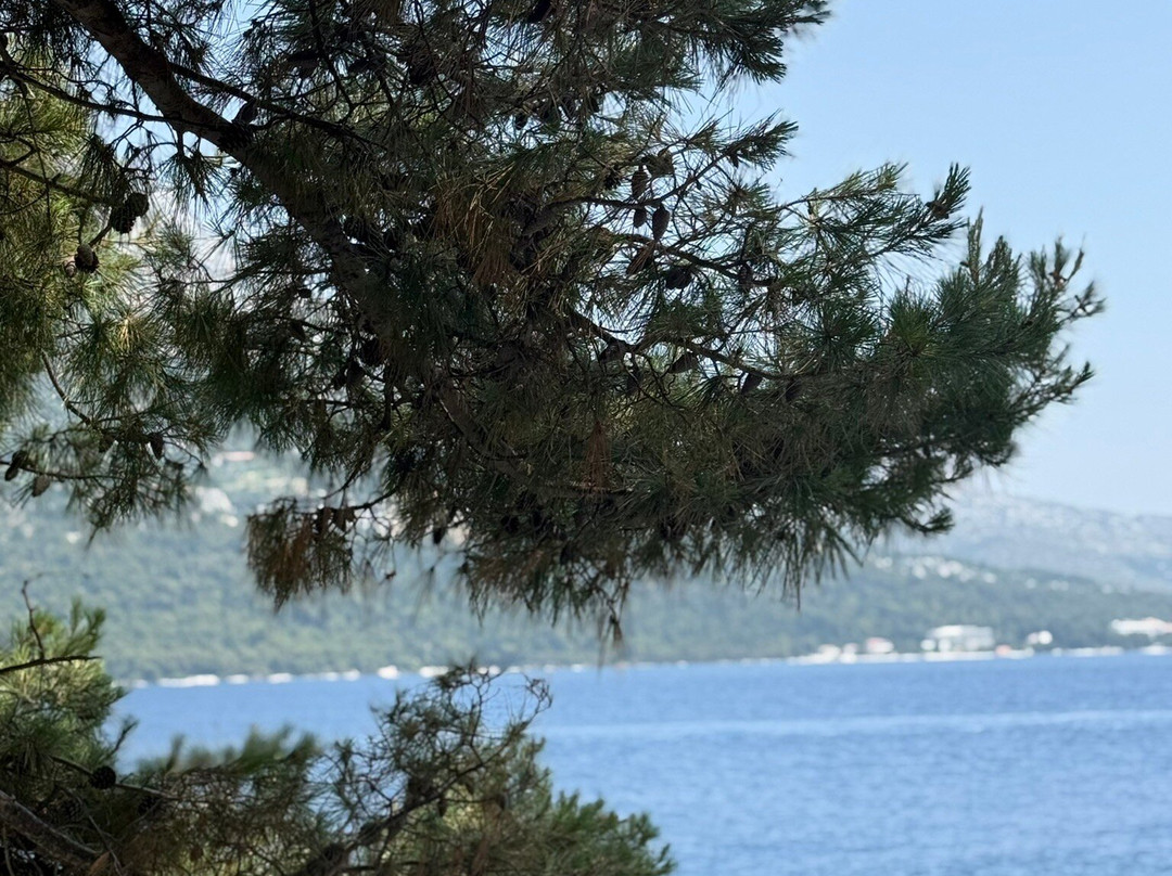 Dubrovnik Boats – Exclusive Private Tours景点图片