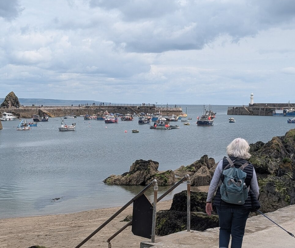 Mevagissey Harbour Wall-梅瓦吉西必去景点