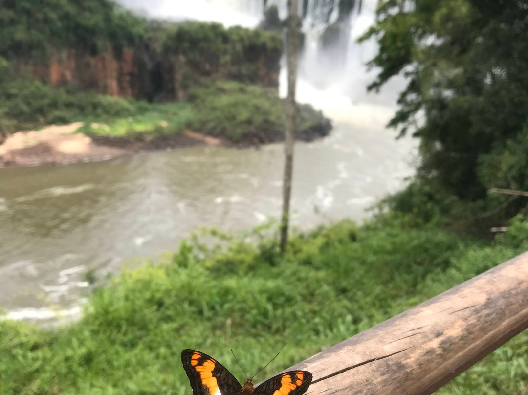 On Passeios Turísticos-伊瓜苏必去景点