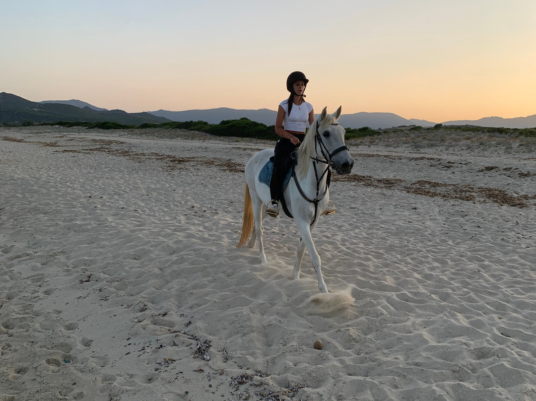 Centro Escursioni Iba Sa Cresia-Muravera必去景点