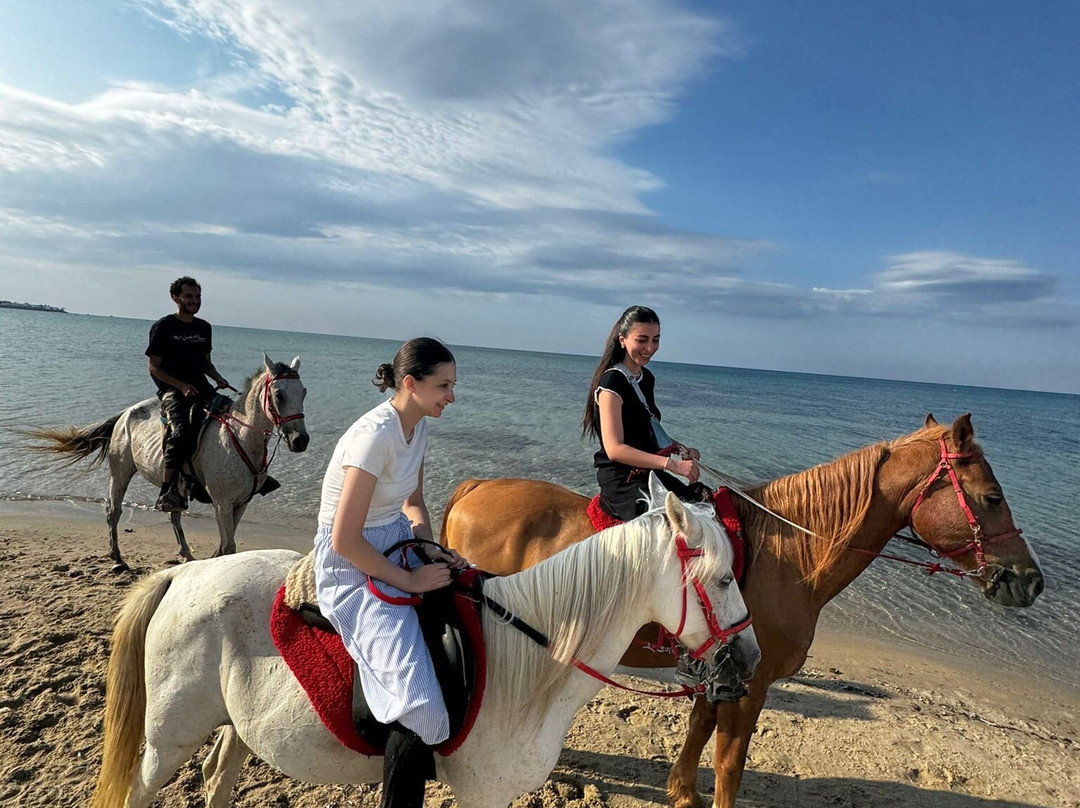 Club Equus Hammamet-哈玛麦德必去景点