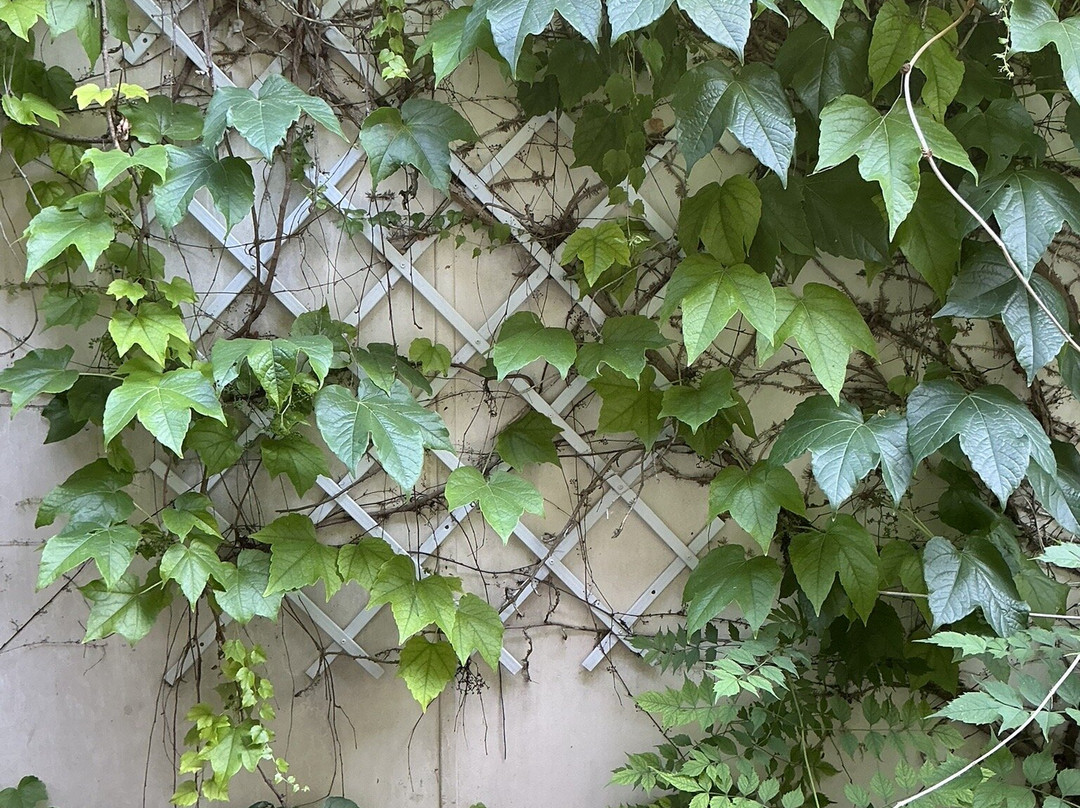 Logis Auberge de l'Ecole主图