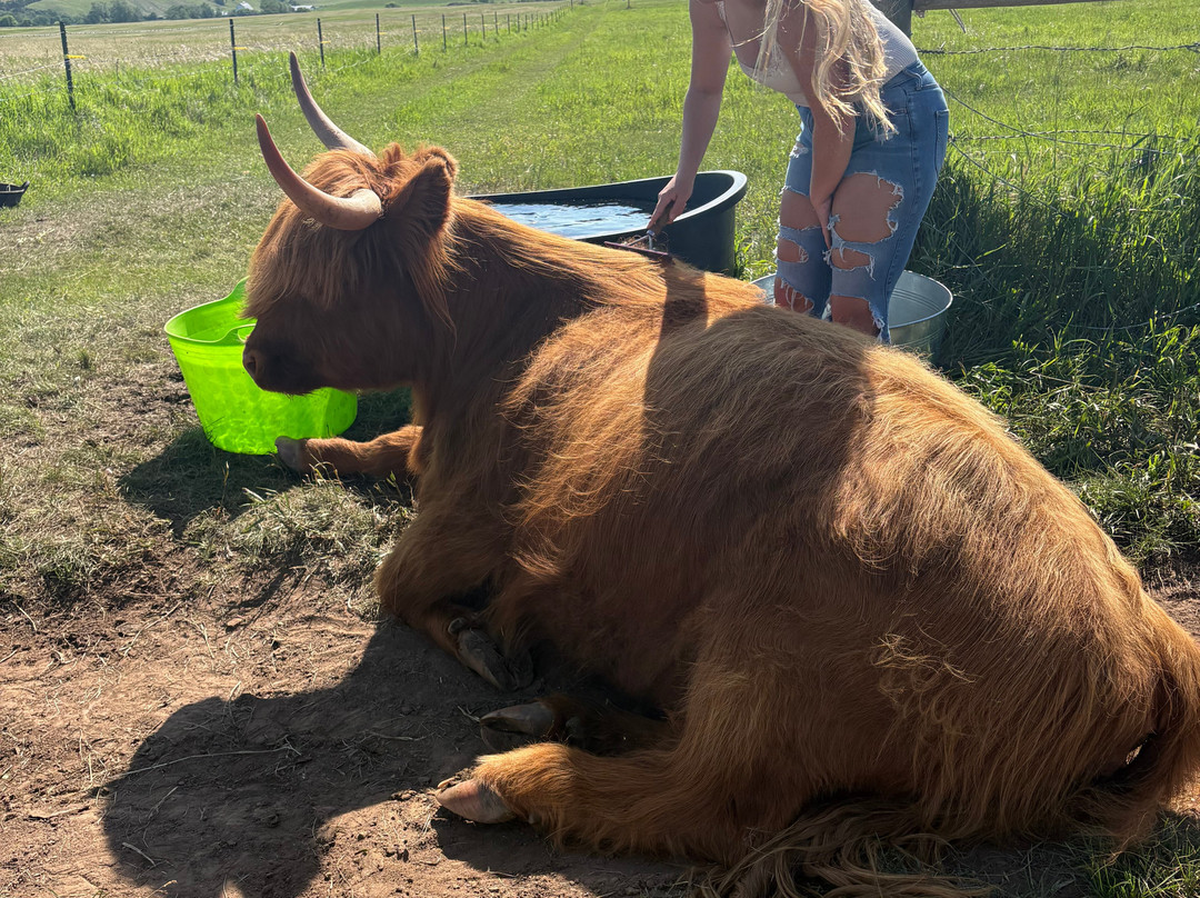 Black Hills Highlands-Spearfish必去景点