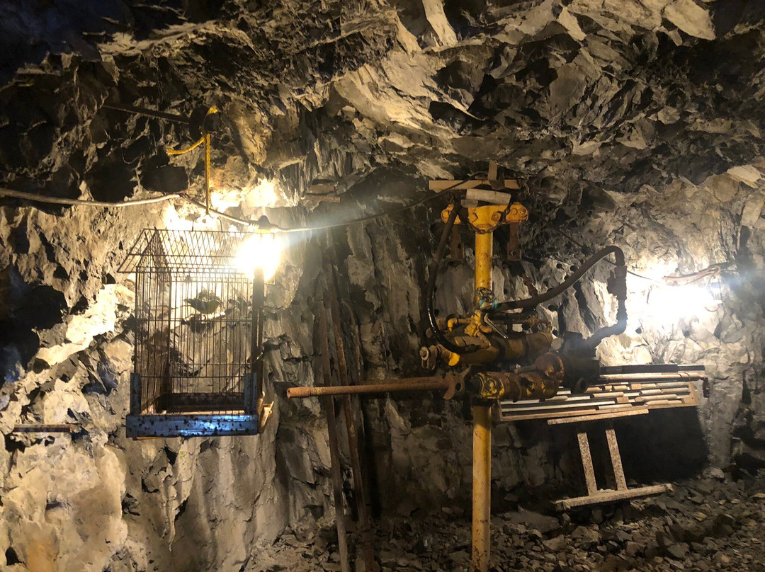 Sierra Silver Mine Tour-Wallace必去景点