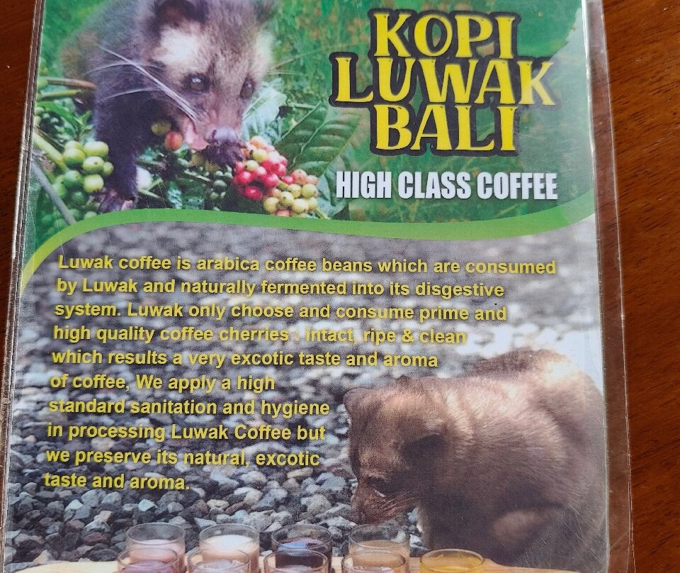 Ubud Sari Coffee Luwak Agrotourism-吉安雅必去景点