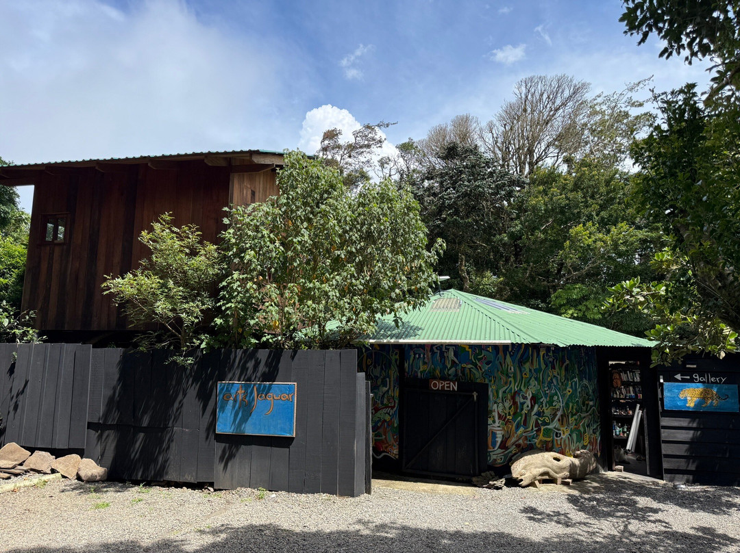 Arte Jaguar Gallery-蒙特维多云雾森林自然保护区必去景点