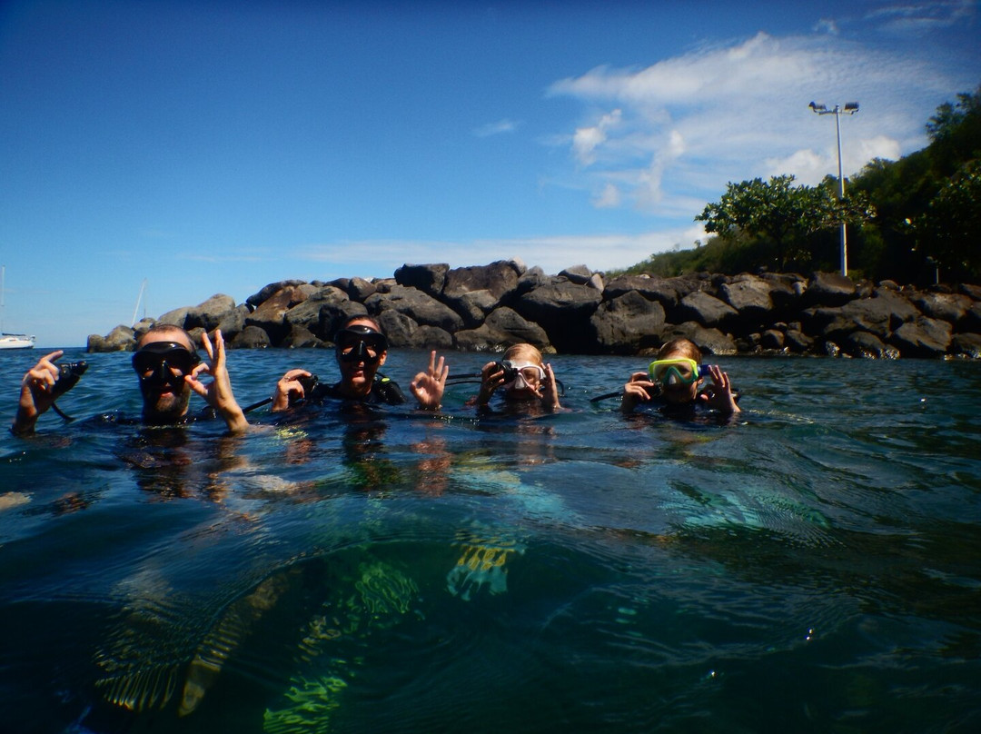 Basse-terre Plongée-Gourbeyre必去景点
