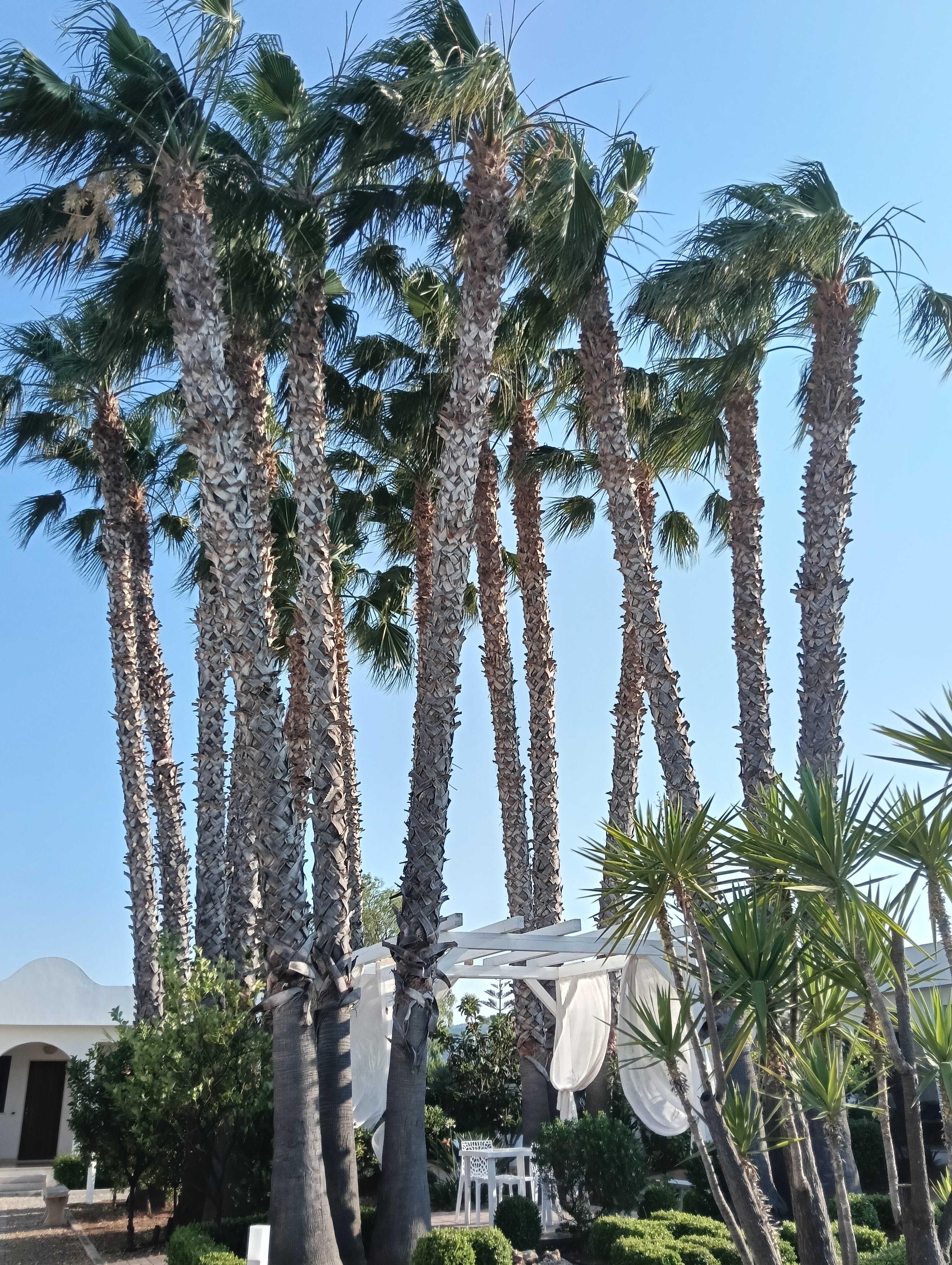 Garden Hotel Ripa-官方