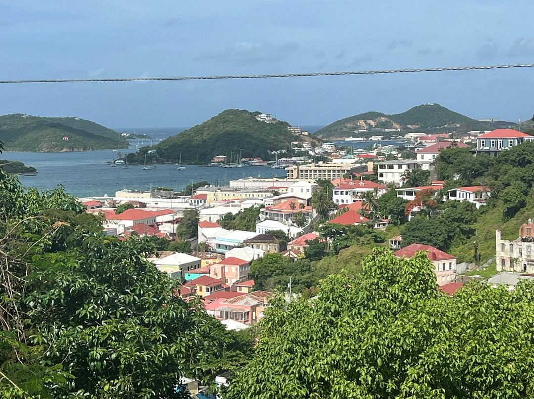 The Green Iguana Hotel主图