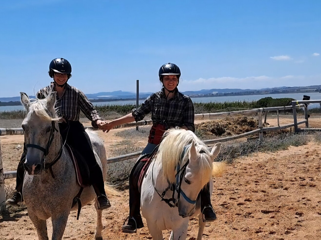 Riding stable El Refugio-瓜尔达马尔德尔塞古拉必去景点