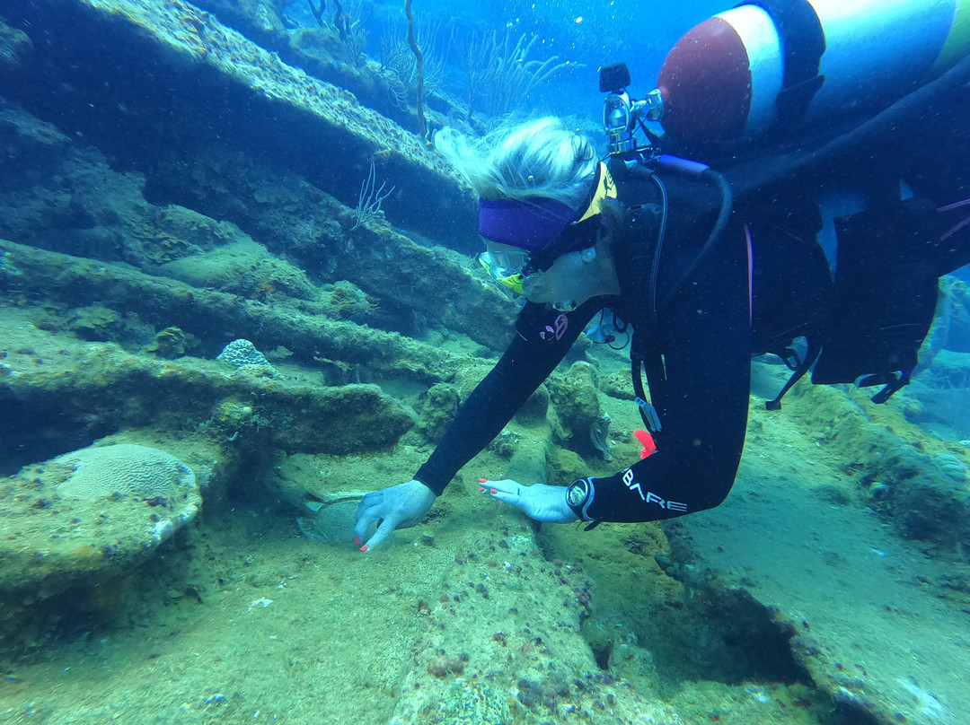 Sunchaser Scuba Ltd.-Spanish Town必去景点