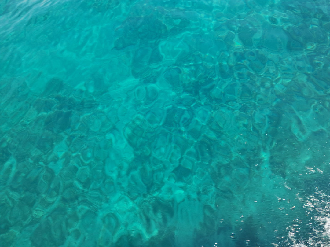 Seasalento-Santa Maria di Leuca必去景点