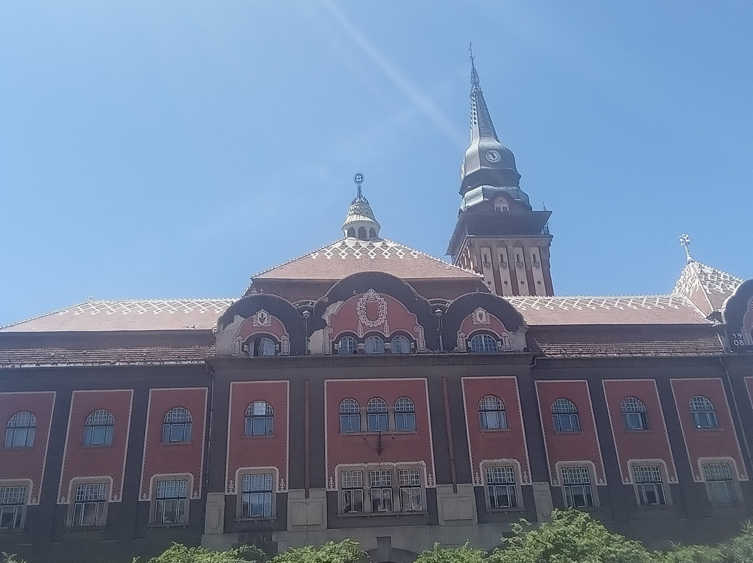 City Hall (Gradska kuca)-苏博蒂察必去景点