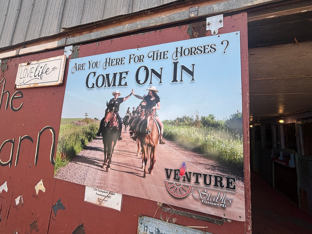 Venture Stables-Kensington必去景点