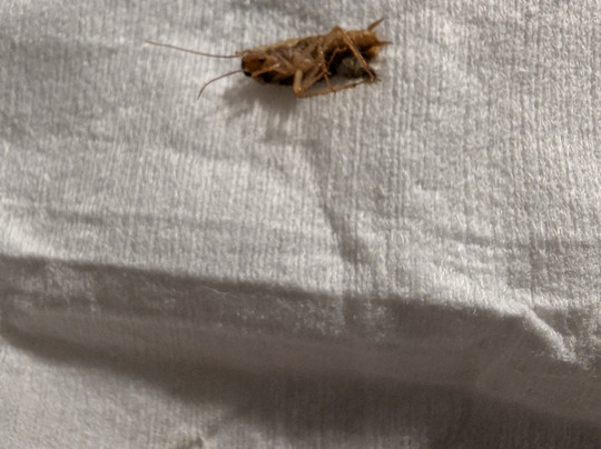 Courtyard by Marriott Orlando Altamonte Springs/Maitland主图