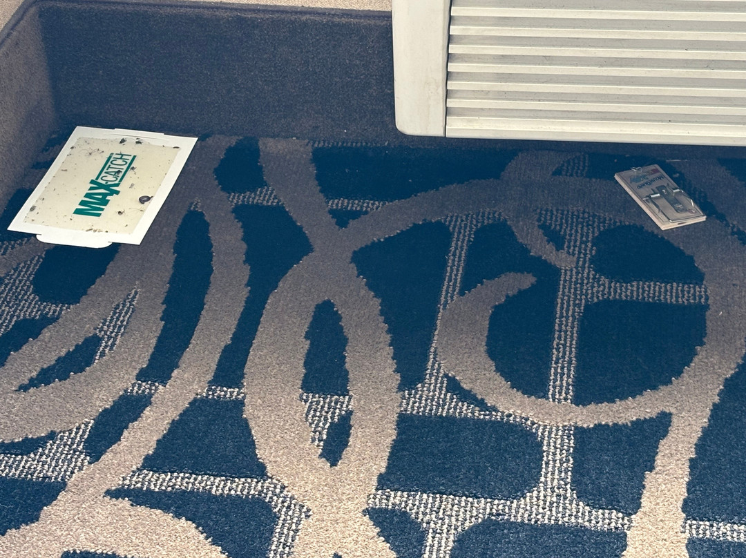 Quality Inn & Suites Mendota near I-39主图