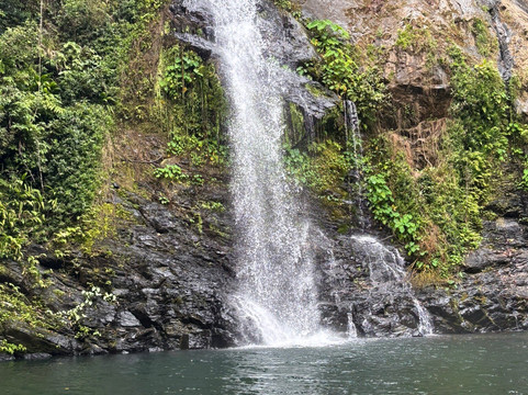 Cassowary Falls ATV Tours-Daintree必去景点