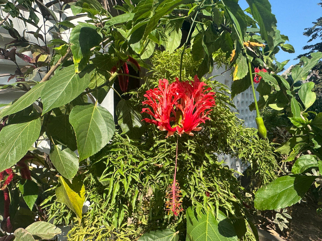 Twende Development and Travel-Eldoret必去景点