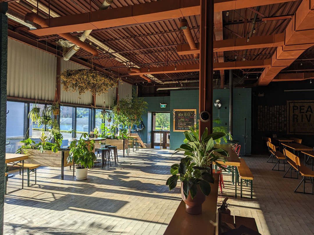 Peace River Brewing-皮斯河必去景点