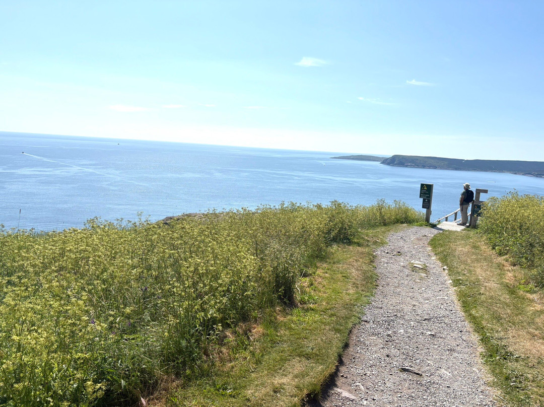 North Head Trail-圣约翰必去景点