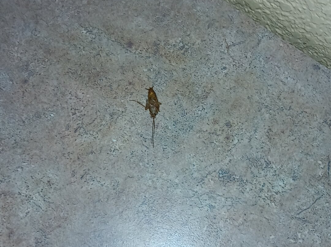 FairBridge Inn & Suites, Findlay主图