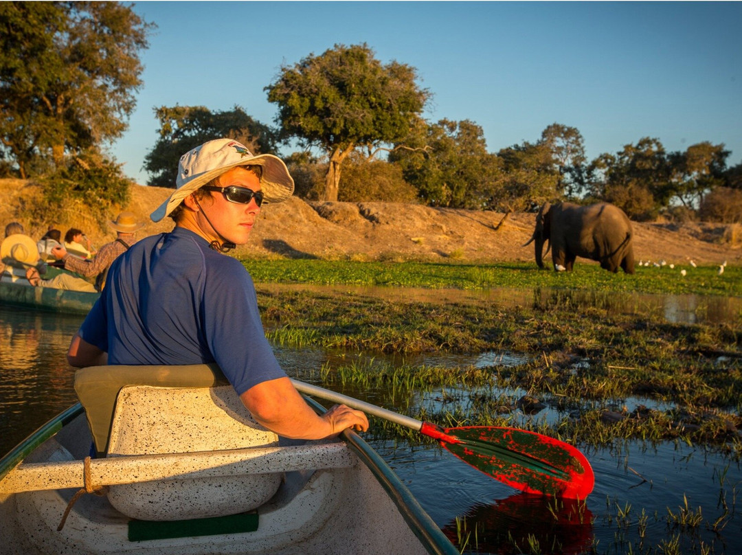 Jekwe Tours & Safaris