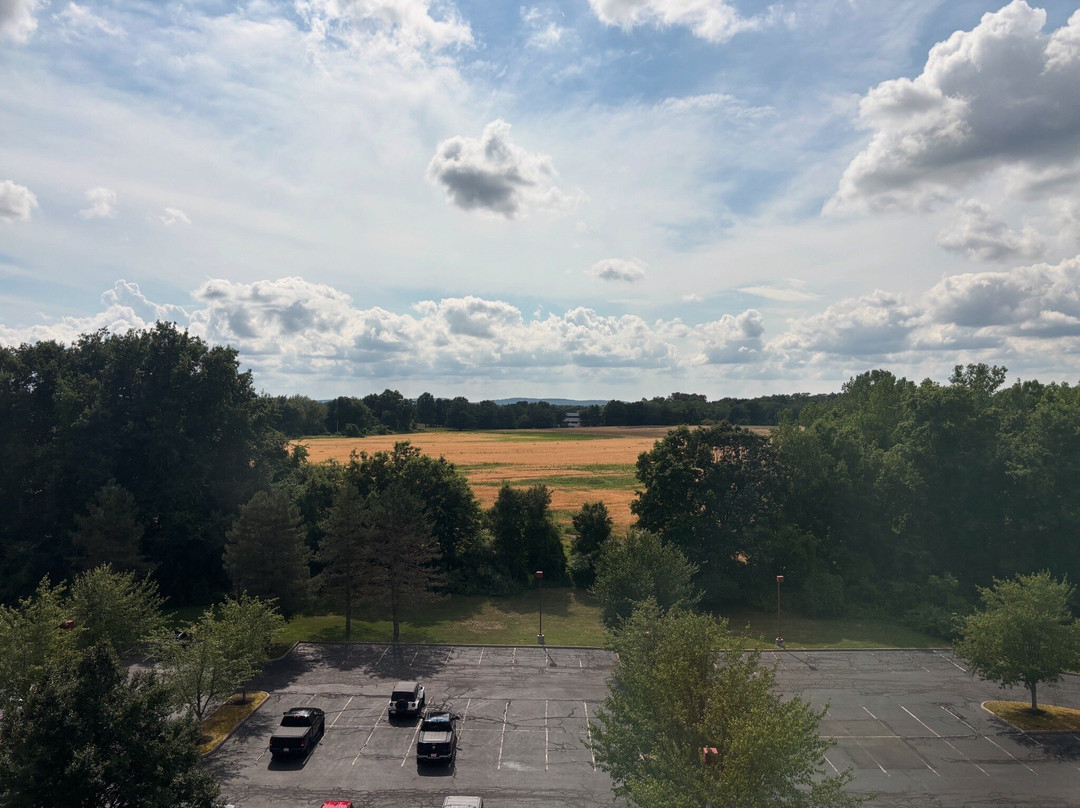 哈特福德/温莎机场万豪酒店主图