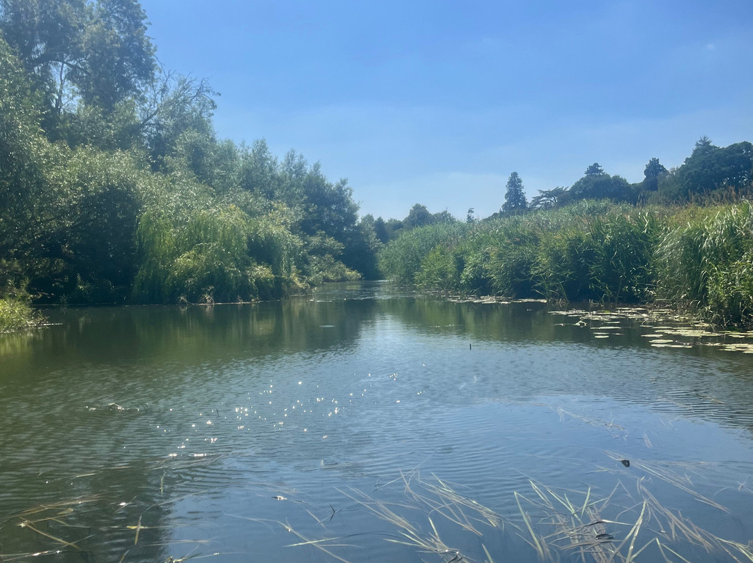 Pulborough Paddles-Pulborough必去景点