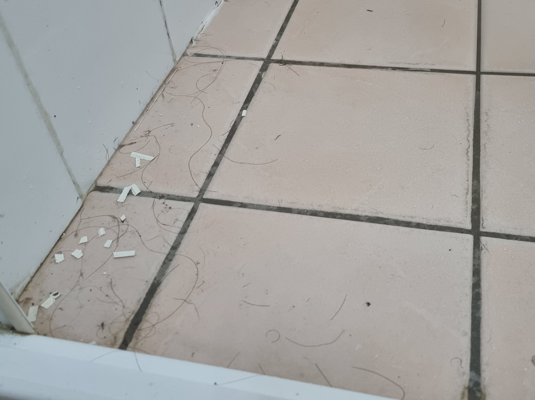 Cosmopolitan Motel & Serviced Apts主图