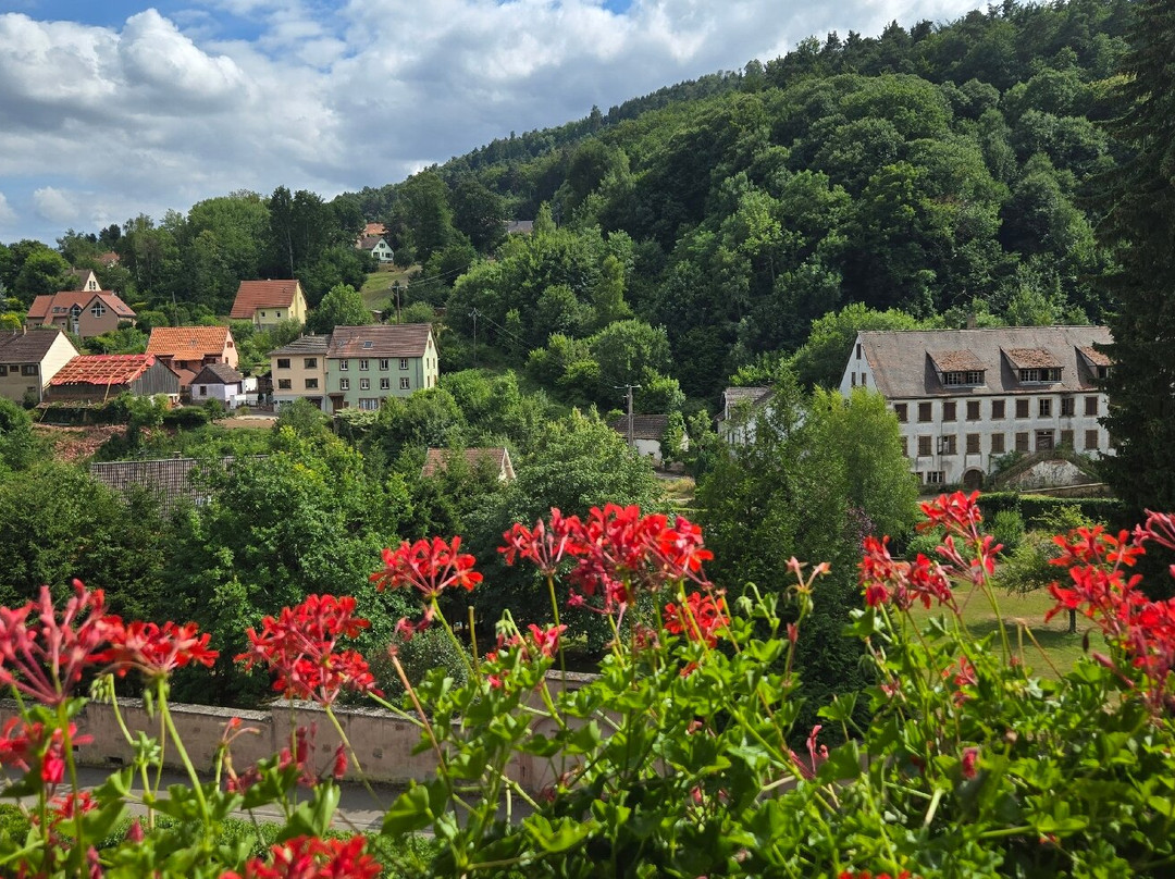 Hotel Des Vosges主图