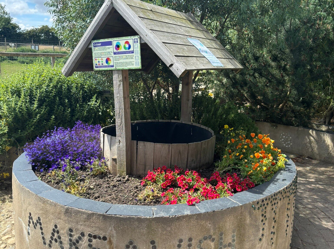 Filey Bird Garden & Animal Park-Filey必去景点