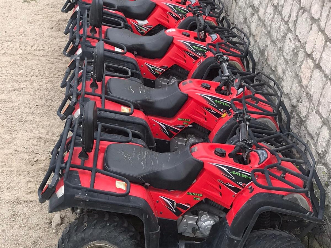 Moonlight Horse Ranch-格雷梅必去景点