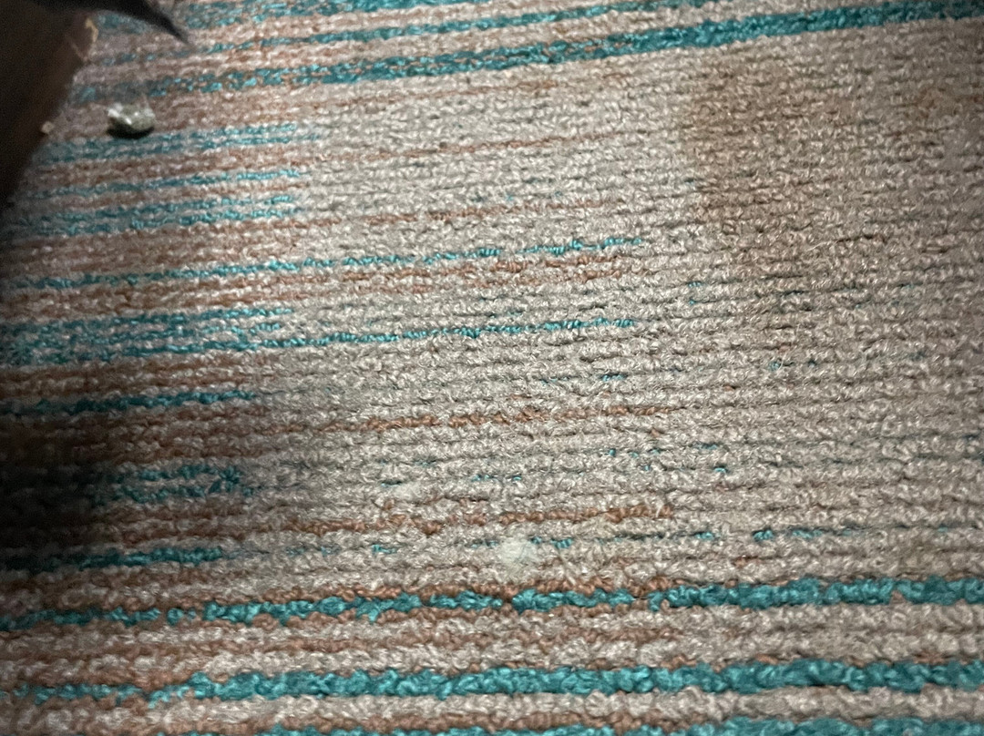 Super 8 by Wyndham Omaha Eppley Airport/Carter Lake主图