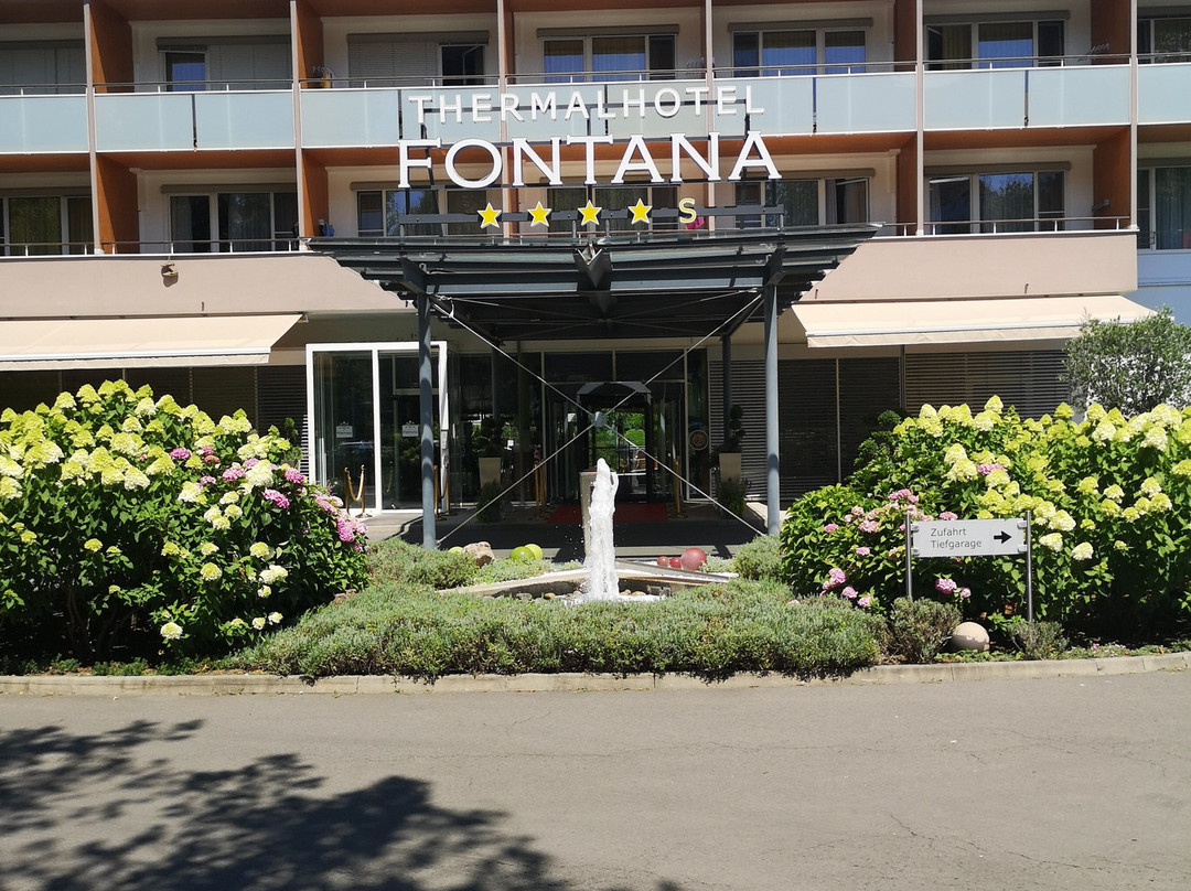 Thermalhotel Fontana主图