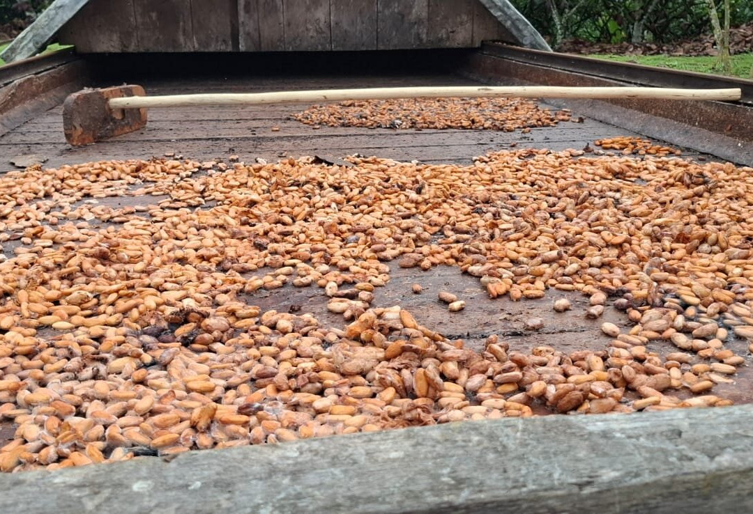 Fazenda Capela Velha-Urucuca必去景点