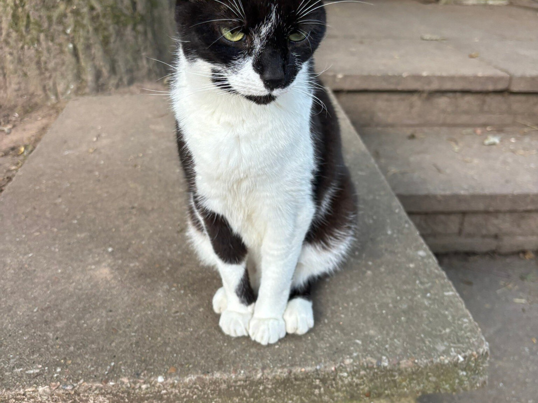 Budleigh Salterton Riding School-Budleigh Salterton必去景点