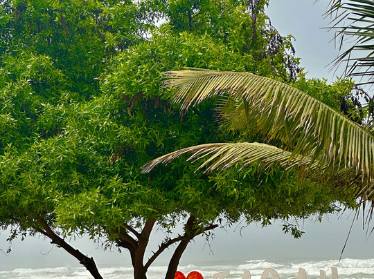 Visit Our Salalah-塞拉莱必去景点