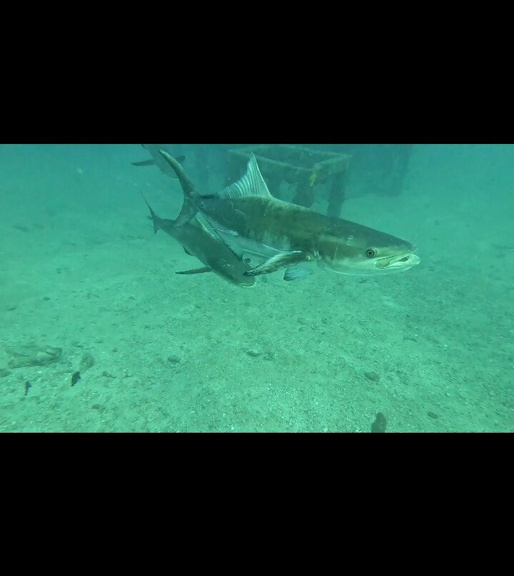 Sunrise Divers-卡伦必去景点