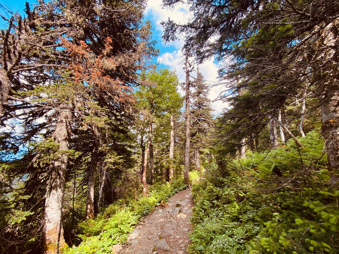 Parc National de la Gaspesie-Sainte Anne des Monts必去景点