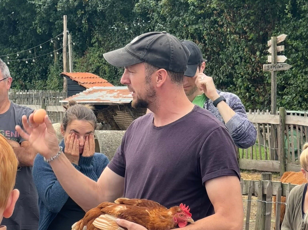 De Steenuil-Oirschot必去景点