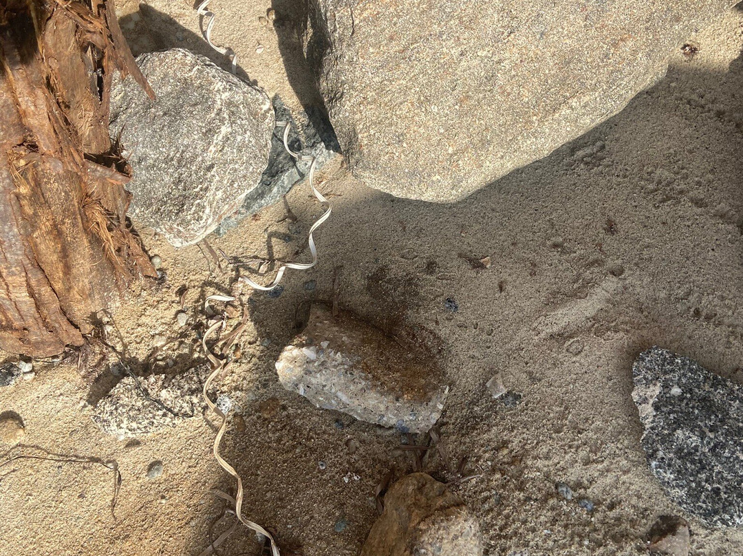 Blanca Beach Club By Valentour-特罗佩阿必去景点