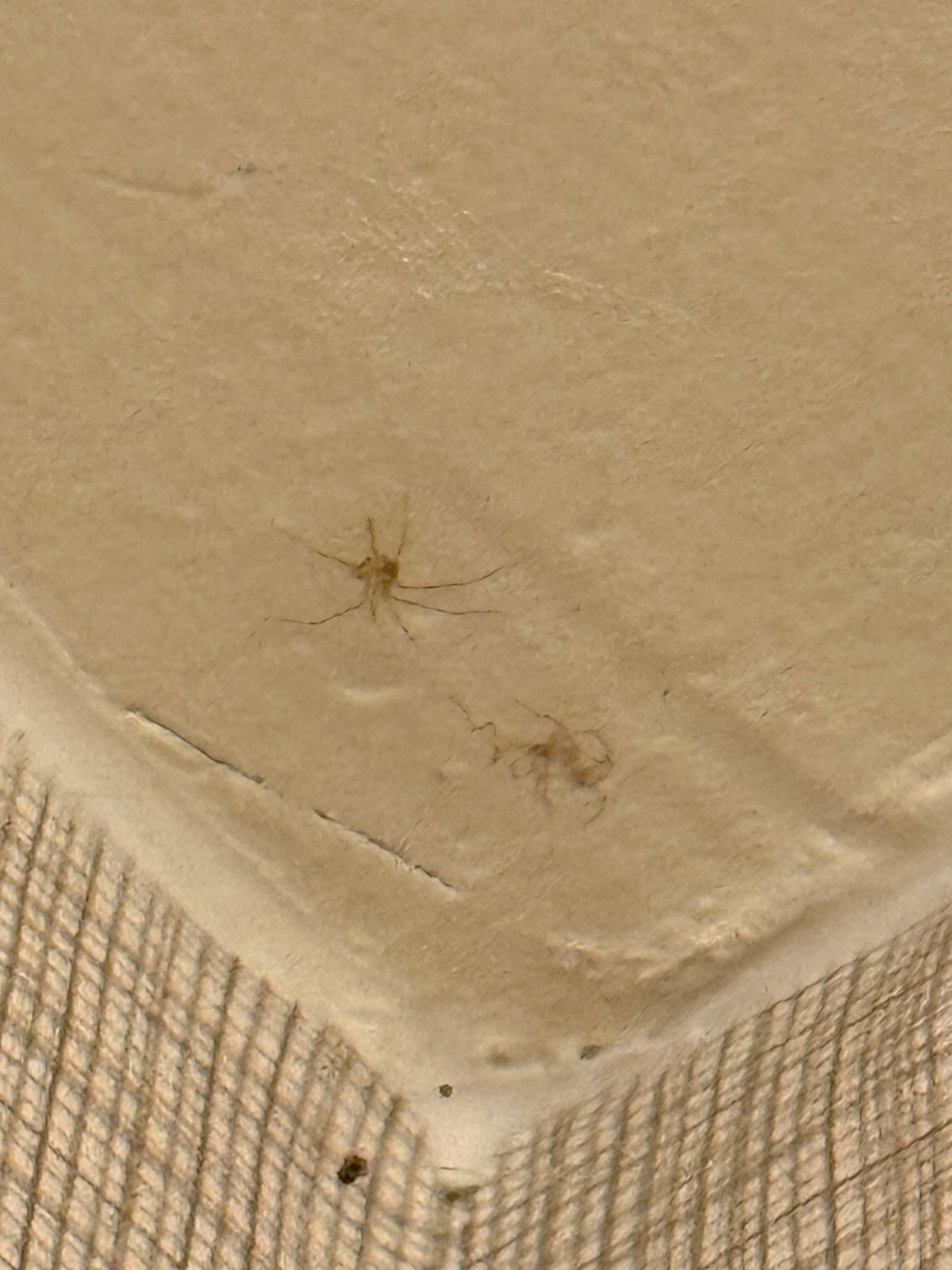 Residence Inn by Marriott Philadelphia West Chester/Exton-官方