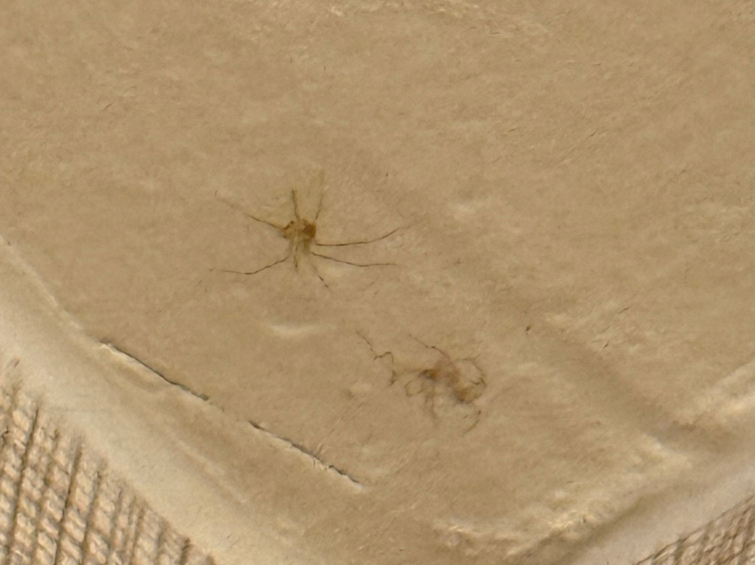 Residence Inn by Marriott Philadelphia West Chester/Exton主图