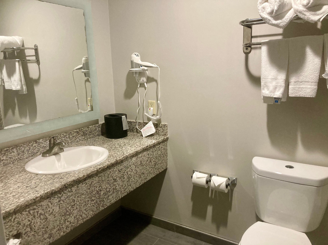 圣布鲁诺奥拉酒店主图