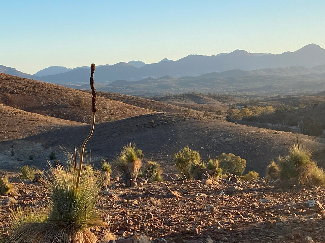 Bike About-Woodside必去景点
