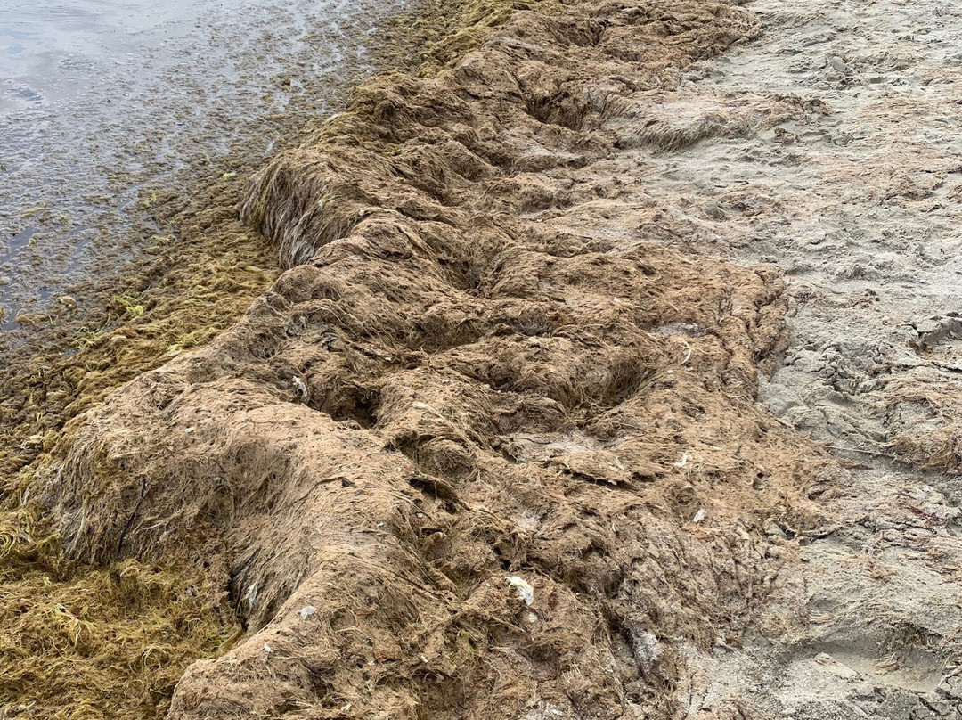 La Plage du Cap Coz-Fouesnant必去景点